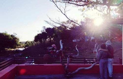 Sítio Piscina natural, Trilha e Cachoeira - Foto 23