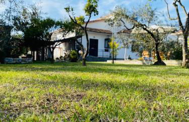 CasadiCampo - Foto 77