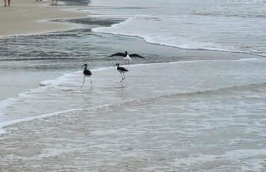 Apartamento Residencial Mar Azul - praia de Palmas - Governador Celso Ramos-SC - Photo 36