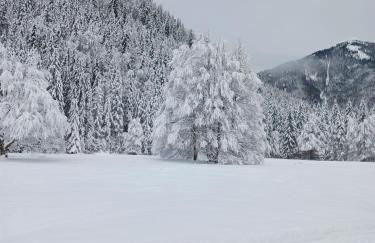 Landhaus am Bergfeld - Foto 19