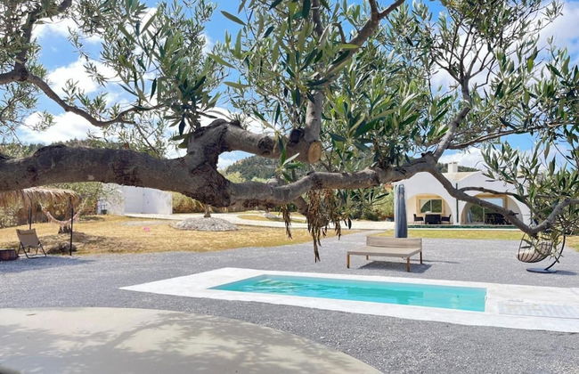 Villa in the Mountains Hammamet - Photo 44