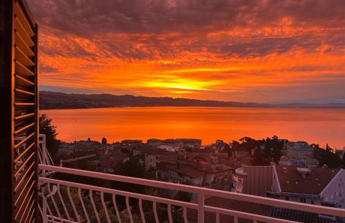 The Best View - Photo 3