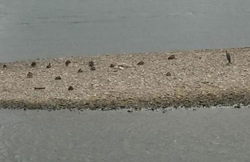 Apartment Köln Ensen - Foto 8