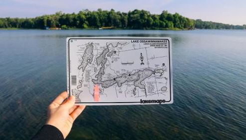 5 Pines on Ossie by Woods to Water - Photo 3