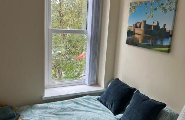 Penarth Station Renovated apartment - Photo 9