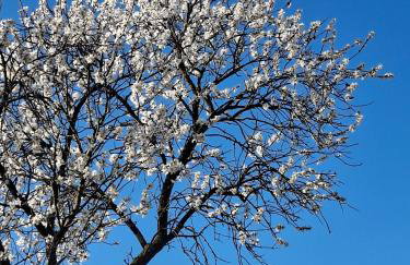 Ferienwohnung bei Tanja und Marcus - Foto 22