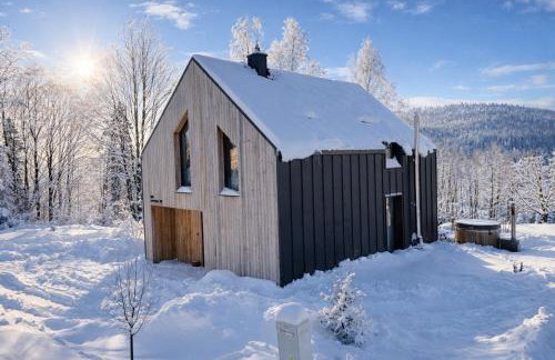 Drwalówka - Domek "NA SKARPIE" - Foto 1