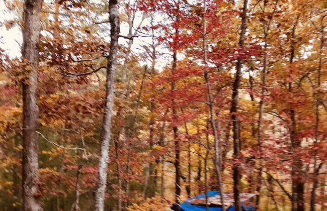 Mountain of Dreams At Lavista Cove - Foto 7