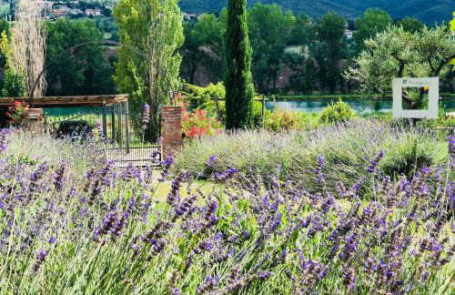 Fontegirasole - a Fontanaro Property - Foto 12