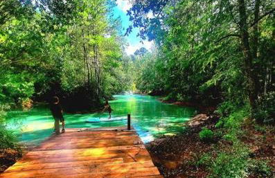 Waterfront Houston Hide out In A Magical Forest - Foto 34