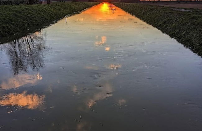 Studio Annex - Foto 35