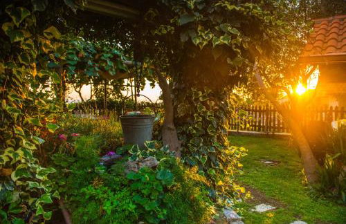 Agriturismo Mare e Monti - Foto 156