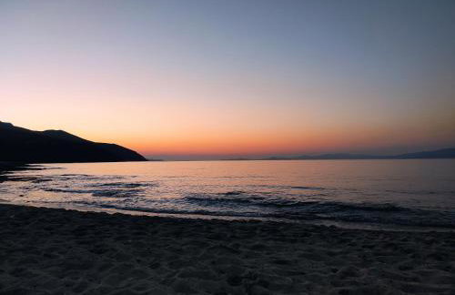 SempreViva Sea Houses - Foto 13