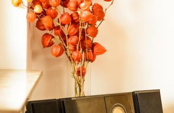 Spreewaldferienhäuser am Deich - Foto 12