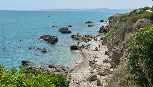 Happy Penna - Foto 2