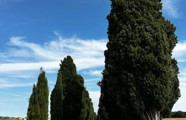 Chapelle Blóm - Photo 31