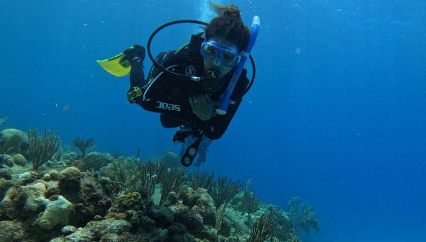 PADI Open Water Diving Course - Foto 2