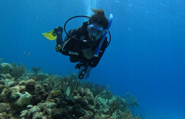 PADI Open Water Diving Course - Foto 2