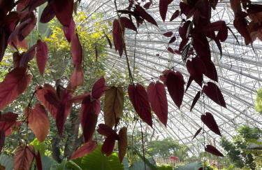 Gîte Du Centre - Foto 24