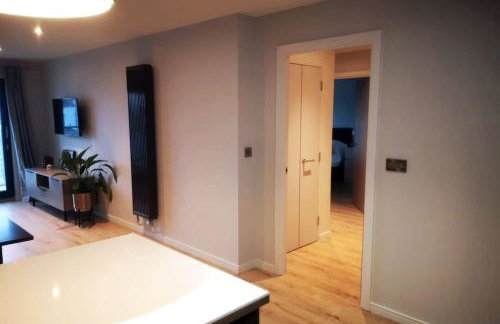 Luxury apartment close to Theatre, Barbican & Hoe 2 kings or 4 single beds secure covered parking - Foto 10