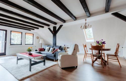 Olifant in Osterode - Foto 21