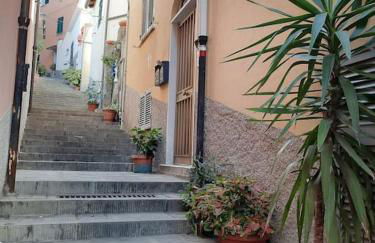 La Terrazza sul Golfo dei Poeti con vista mare - Foto 46
