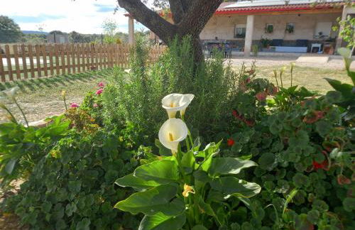 CASA RURAL LA HOJA EL VALLE - Foto 27