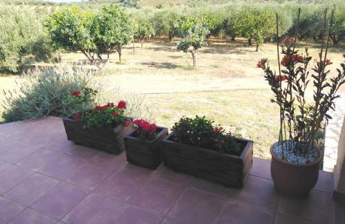 Villa Elaia - Foto 18