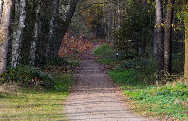 Relaxing Nature Escape - Foto 28