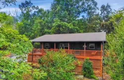 Blue Beary Delight Newly renovated Near Everything - Foto 27