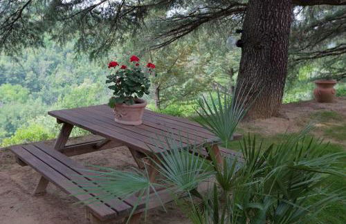 LA BARCA NEL FRUTTETO Natura e relax in collina - Foto 28