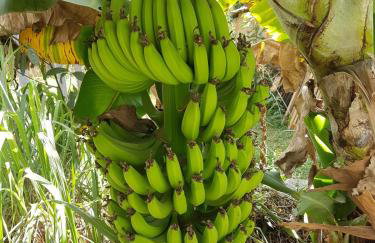 Chalé Toca do Vento com Ar Condicionado, Centro, Cavalcante - Foto 10