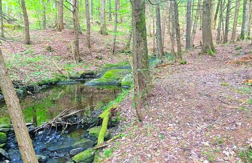 Five-Story Vacation Rental near Stowe Mountain and Smugglers' Notch Ski Resorts, Vermont - Foto 32