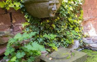 Maisonette Baugut - Foto 13