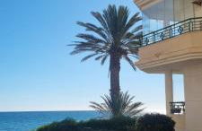 Wild Palms Apartment - Foto 10