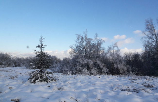 Holiday Home With Garden, Heating, Barbecue - Photo 29