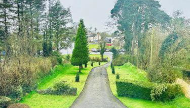 Lime Tree House - Foto 5