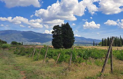 La Favilletta Casa Vacanze - Foto 62