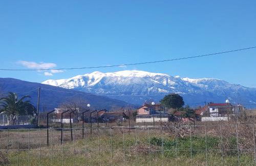 Haus Andreas - Foto 14