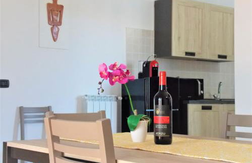 Shardana Blu - Net Zero Home Holiday - Foto 17