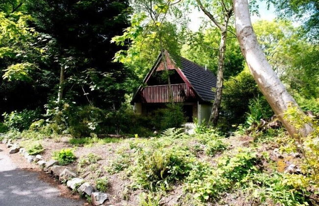 St Ives Holiday Village - Foto 23