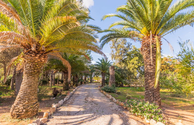 Ses Sitjoles - Foto 47