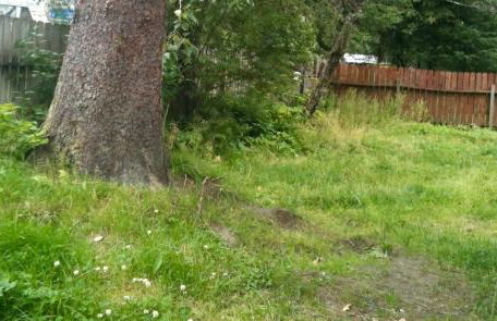 Nugget Place-Includes three separate two bedroom units near Mendenhall Glacier-DISCOUNTS ON TOURS! - Foto 18