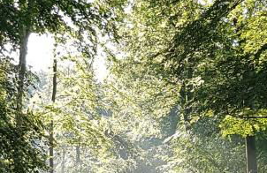 Steewer Landhaus gemütliche Ferienwohnung bis 6 Pers in ruhiger Ortsrandlage - Foto 59