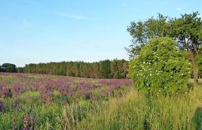 Ferienhaus in Wieda mit Garten - Foto 25