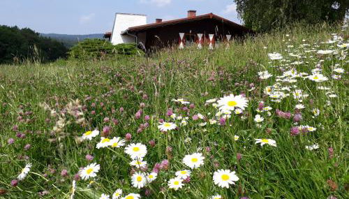 Ellernhof im Spessart - Foto 3, Garden