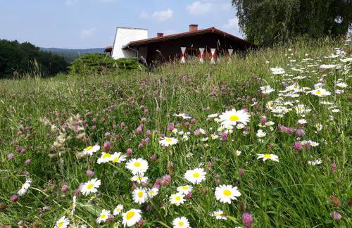 Ellernhof im Spessart - Foto 3