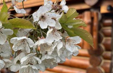 NEU! Ferienwohnung Seeblick Ottersberg - Foto 21