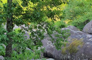 Chambre d'hôtes cosy Le Chalet -Tarn - Foto 35