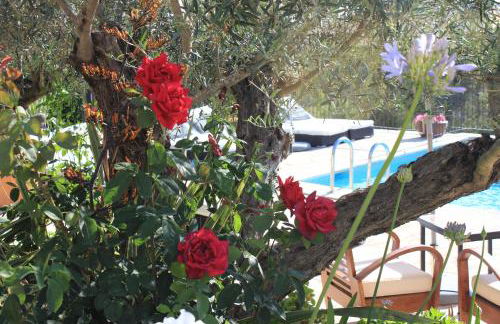 Can Pardal - Foto 33